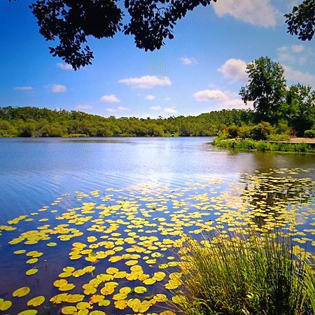 Vacances Dans Les Landes Aureilhan  Exteriér fotografie