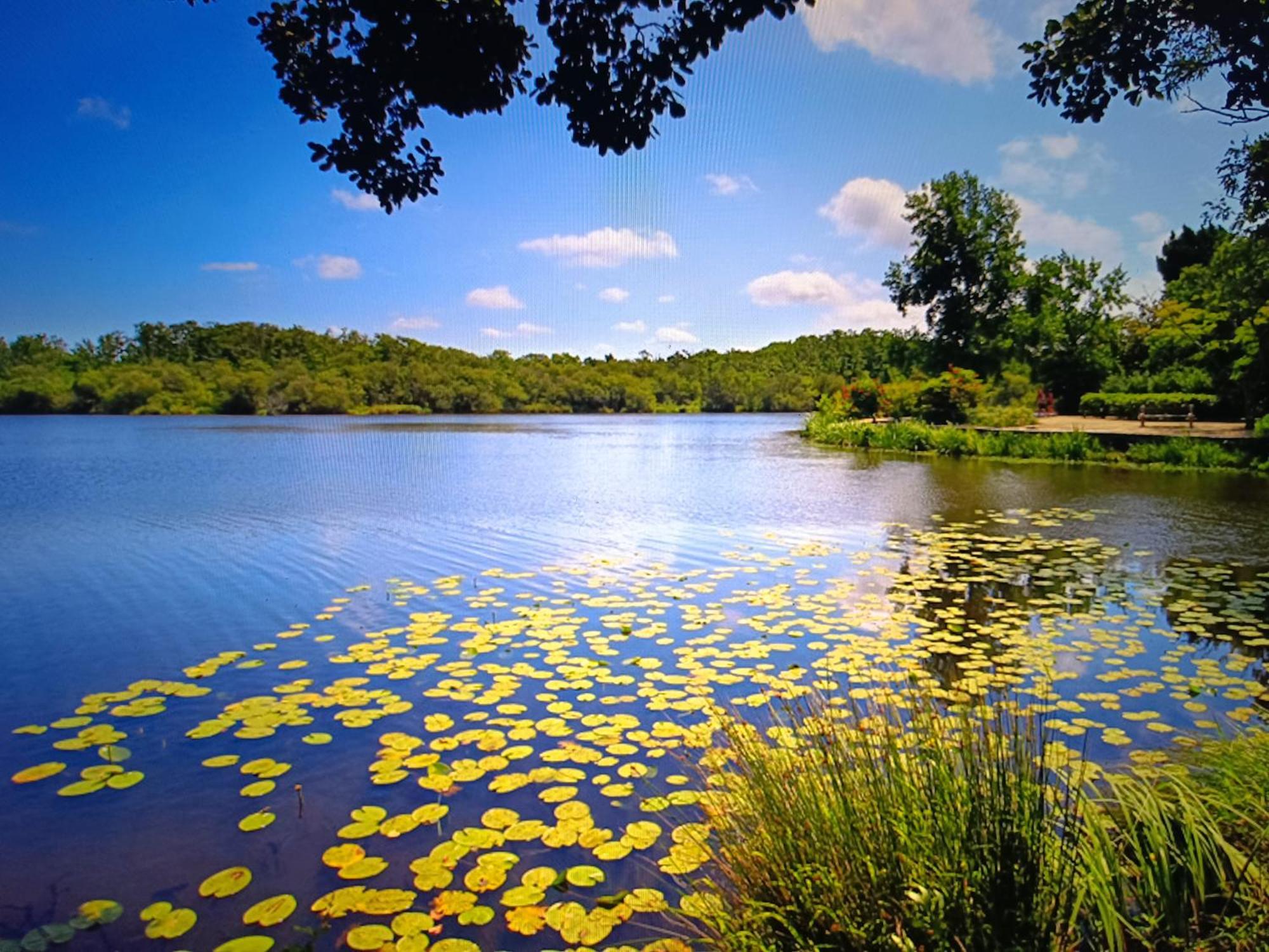 Vacances Dans Les Landes Aureilhan  Exteriér fotografie